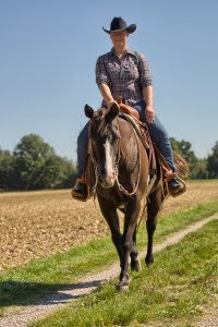 Paarden en letselschade